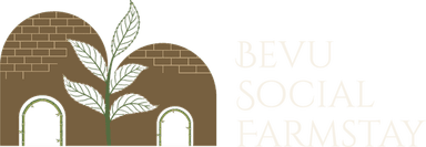 Bevu Social Farmstay
